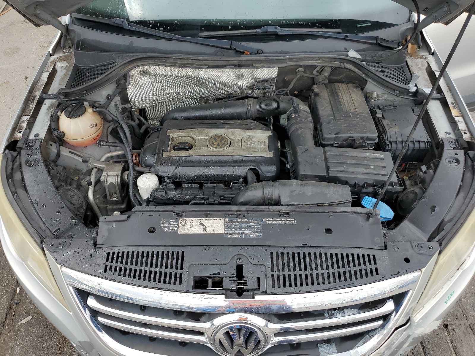 WVGBV7AX6AW535925 2010 Volkswagen Tiguan Se
