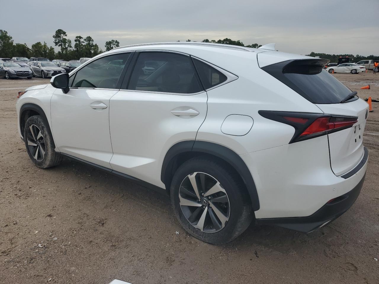 2018 Lexus Nx 300 Base VIN: JTJBARBZ7J2159199 Lot: 62314994