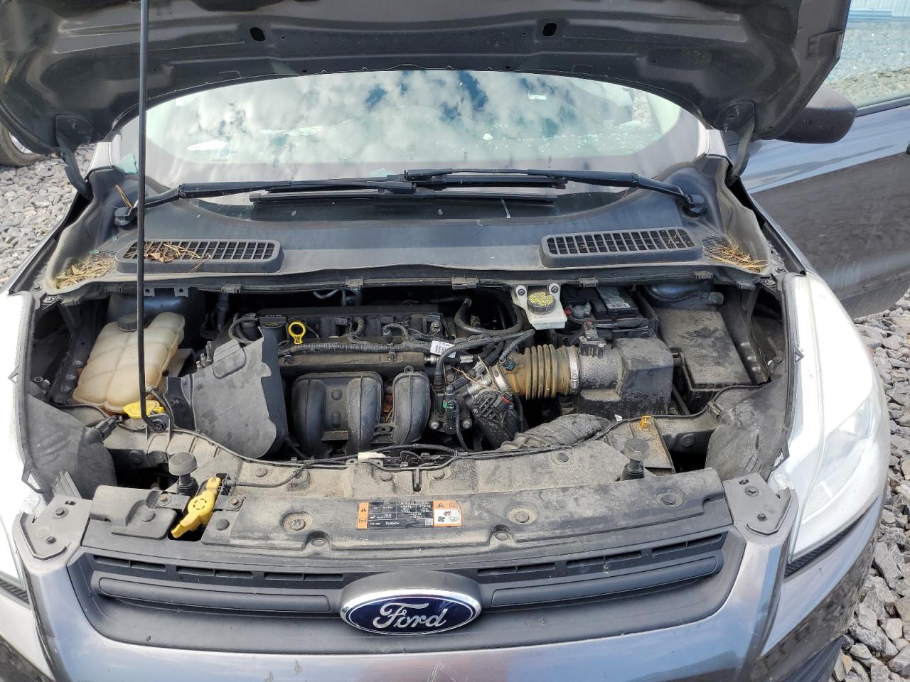 2014 Ford Escape S VIN: 1FMCU0F70EUB90531 Lot: 62878804