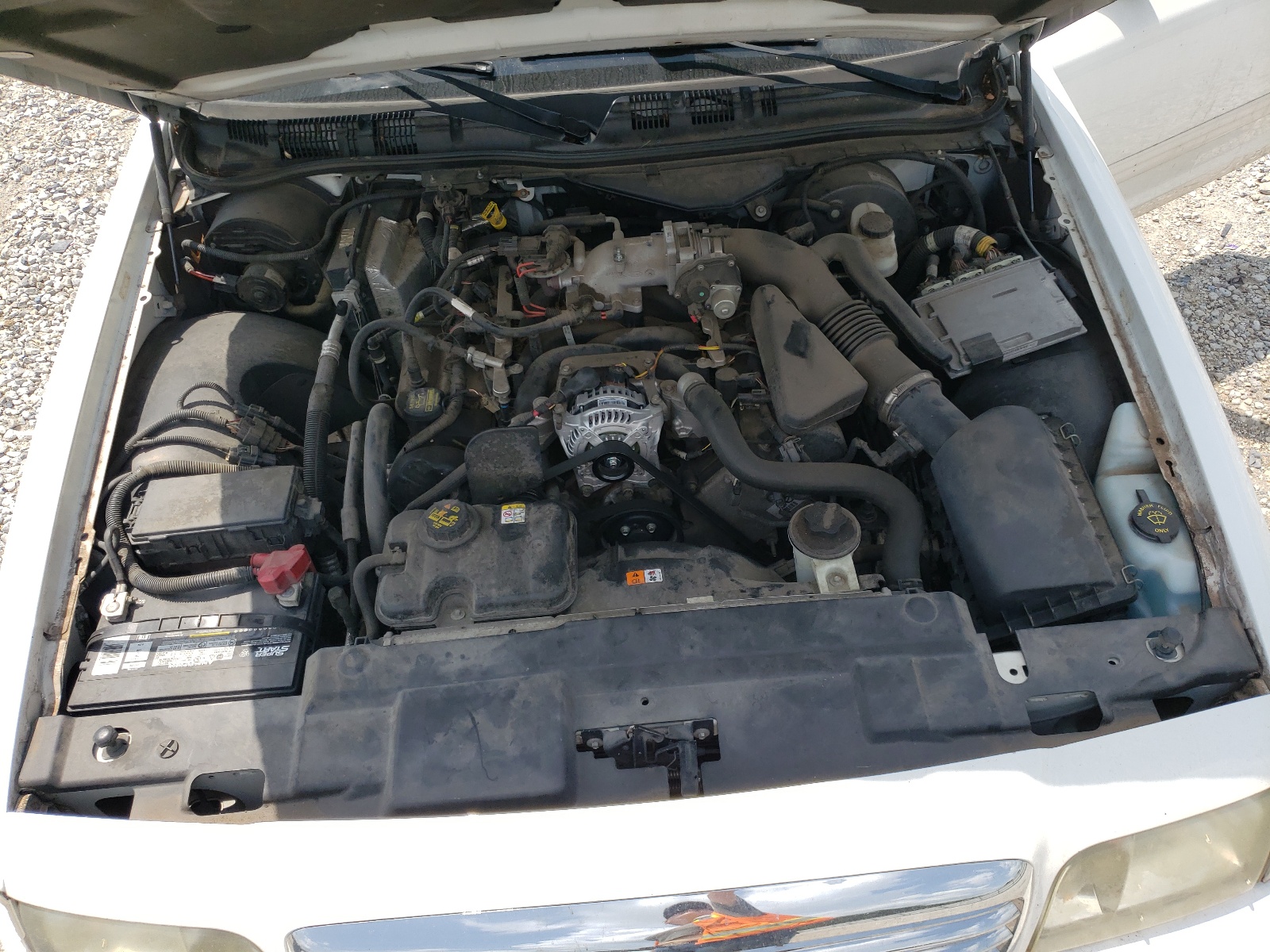 2FABP7EV2BX148596 2011 Ford Crown Victoria Lx