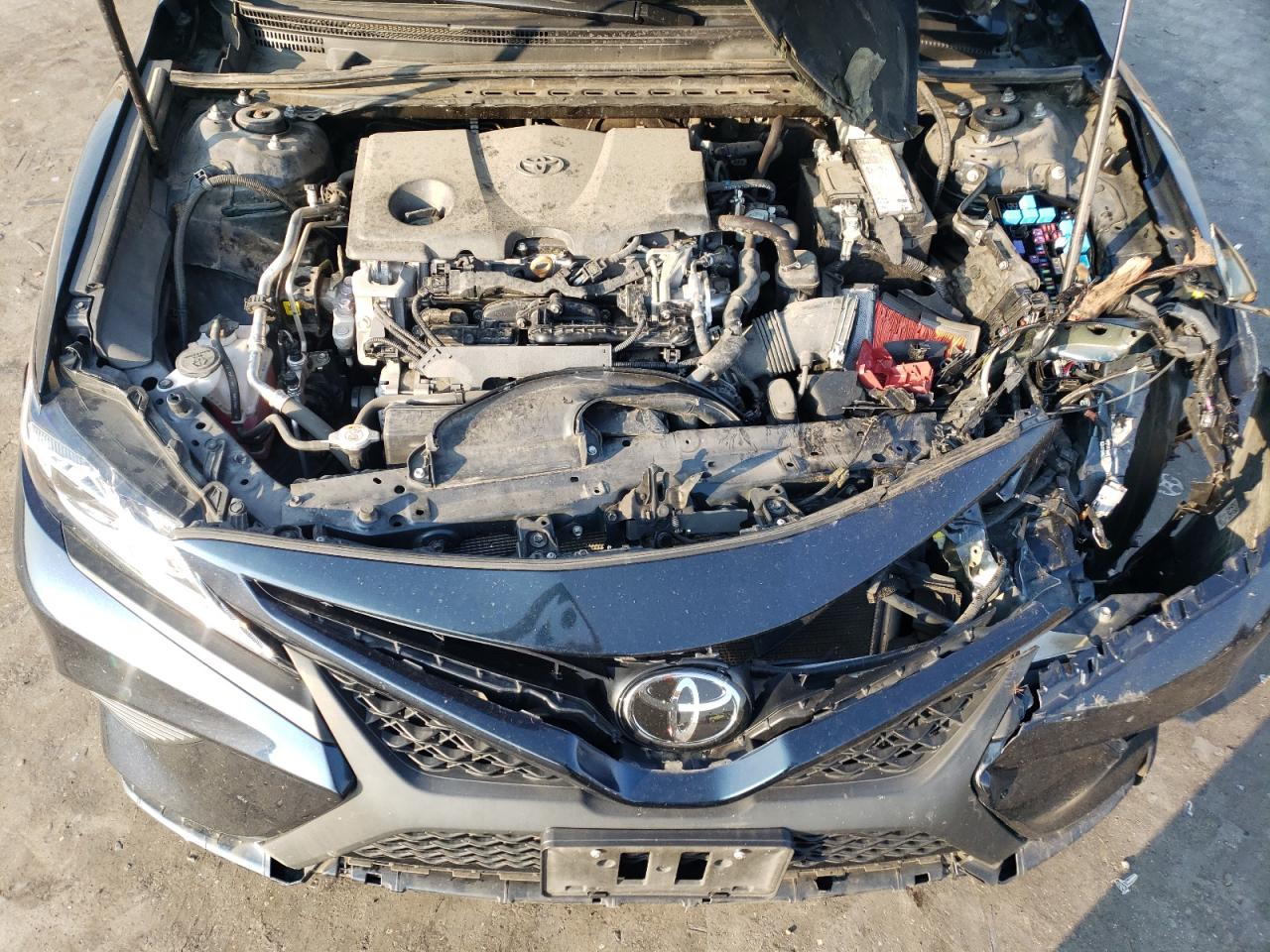 4T1G11AK8LU940766 Toyota Camry SE 12