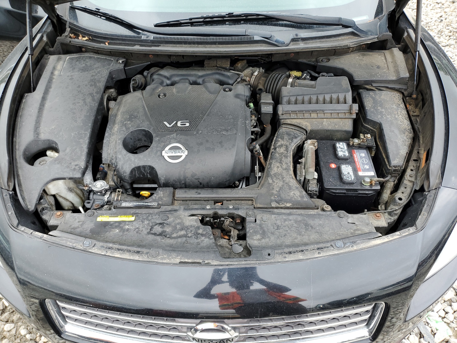 1N4AA51E69C819749 2009 Nissan Maxima S