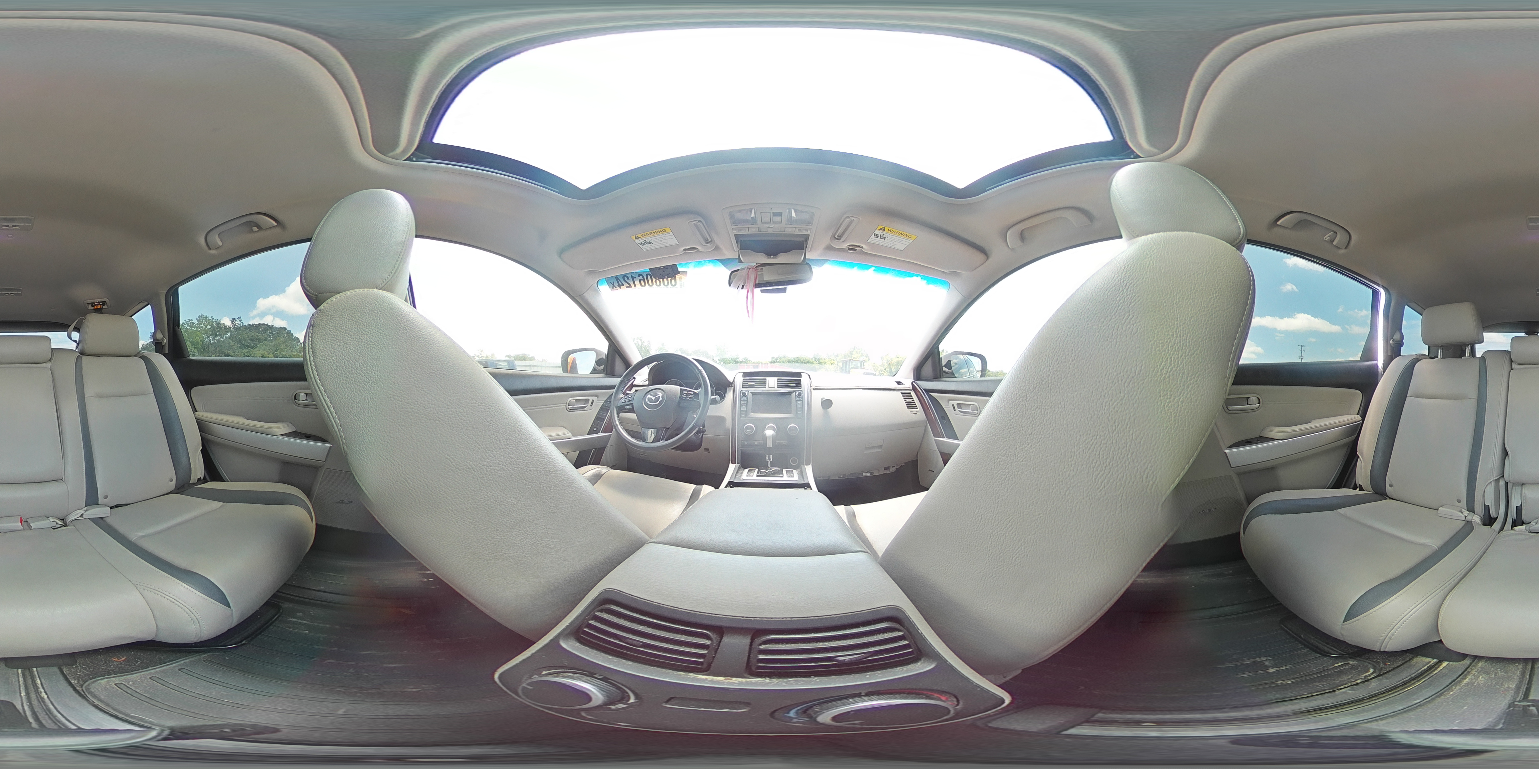 2009 Mazda Cx-9 VIN: JM3TB28A390174648 Lot: 60806124