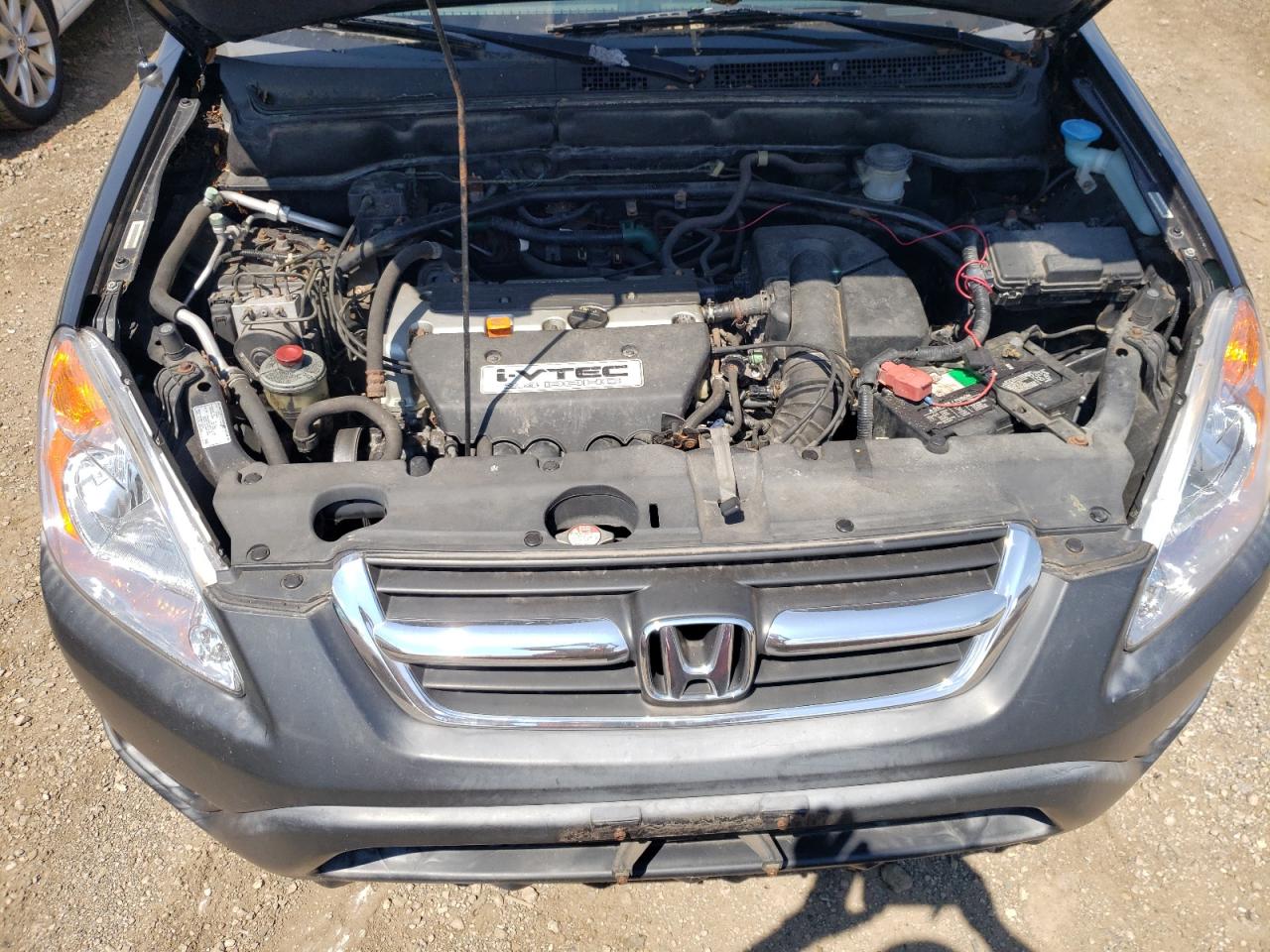 2004 Honda Cr-V Ex VIN: JHLRD78864C038323 Lot: 63412314