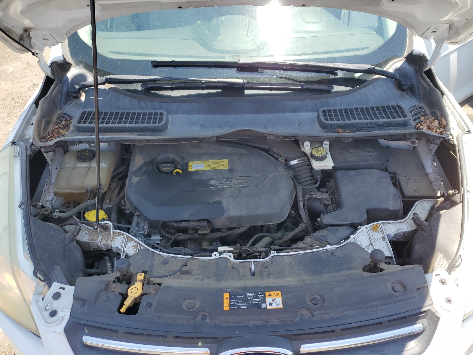 1FMCU9GX5DUB24266 2013 Ford Escape Se