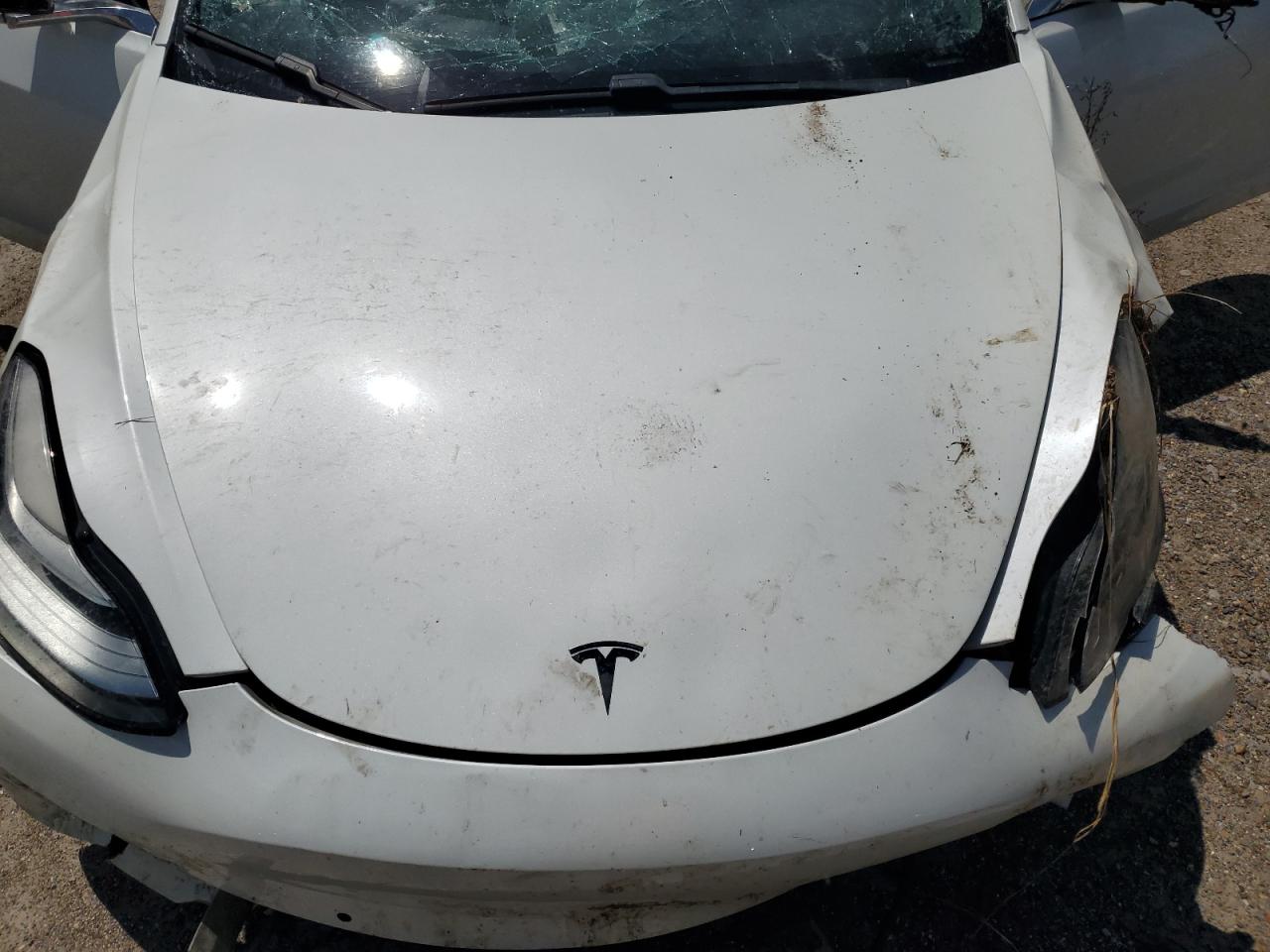 2019 Tesla Model 3 VIN: 5YJ3E1EA3KF485535 Lot: 65002684