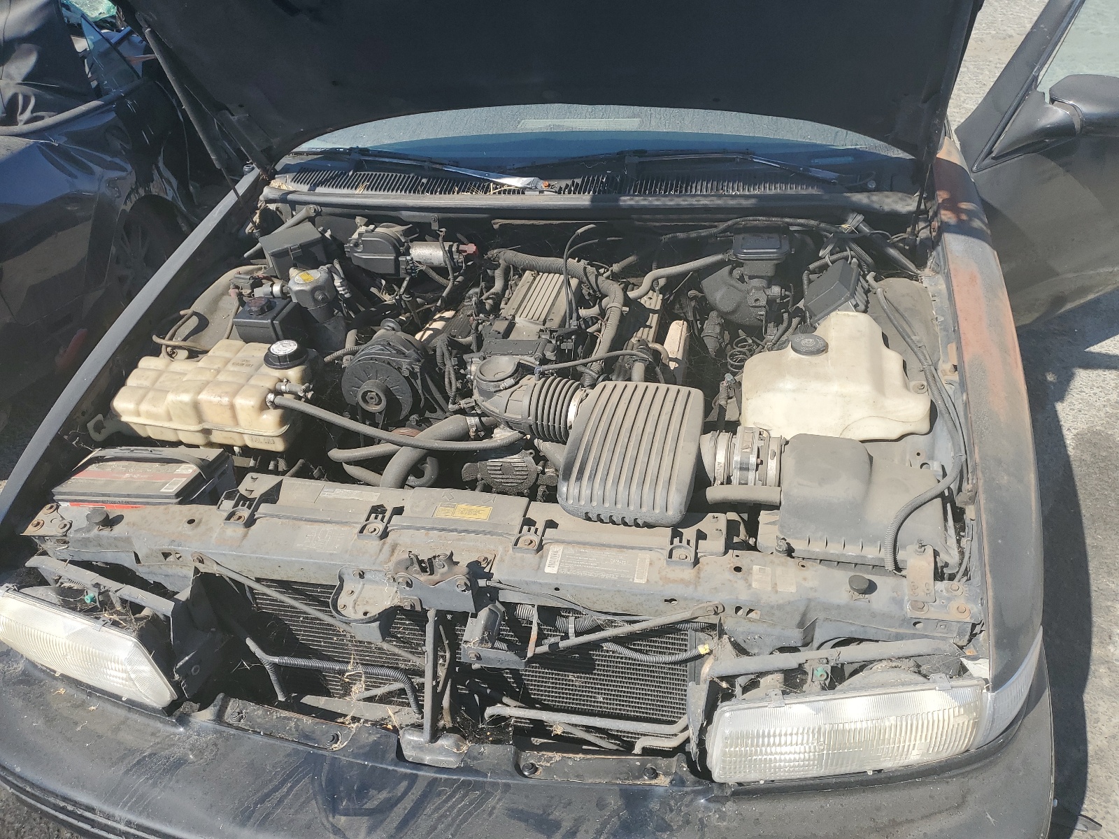 1G1BN52P7RR183464 1994 Chevrolet Caprice Classic Ls