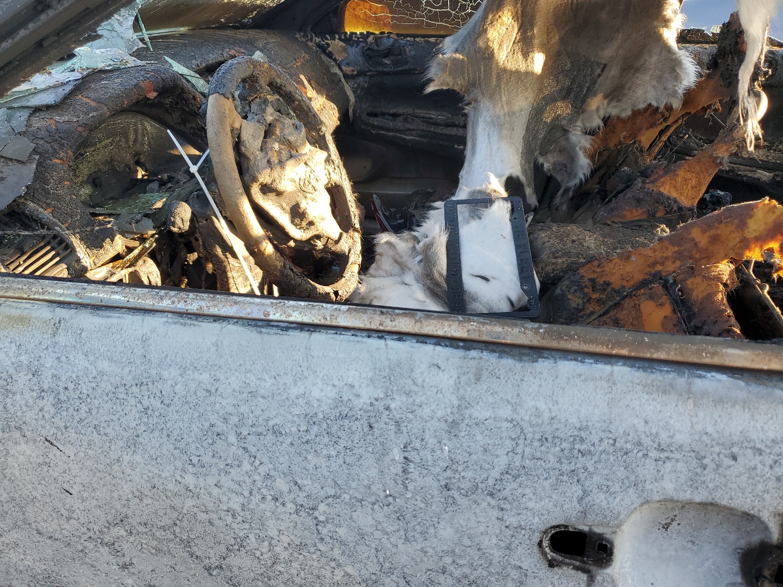 4T1BE32K83U758199 2003 Toyota Camry Le