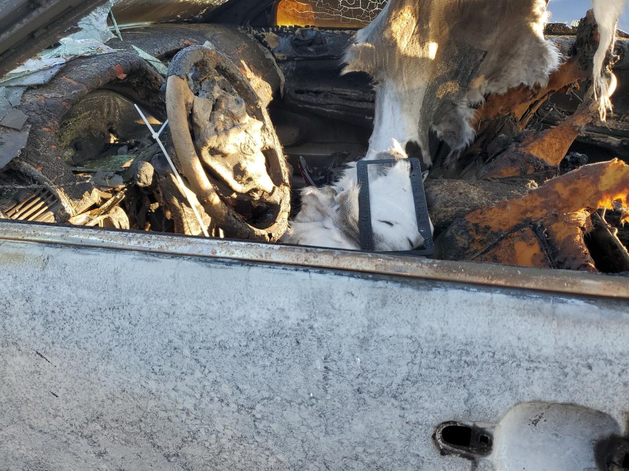 2003 Toyota Camry Le VIN: 4T1BE32K83U758199 Lot: 62495784