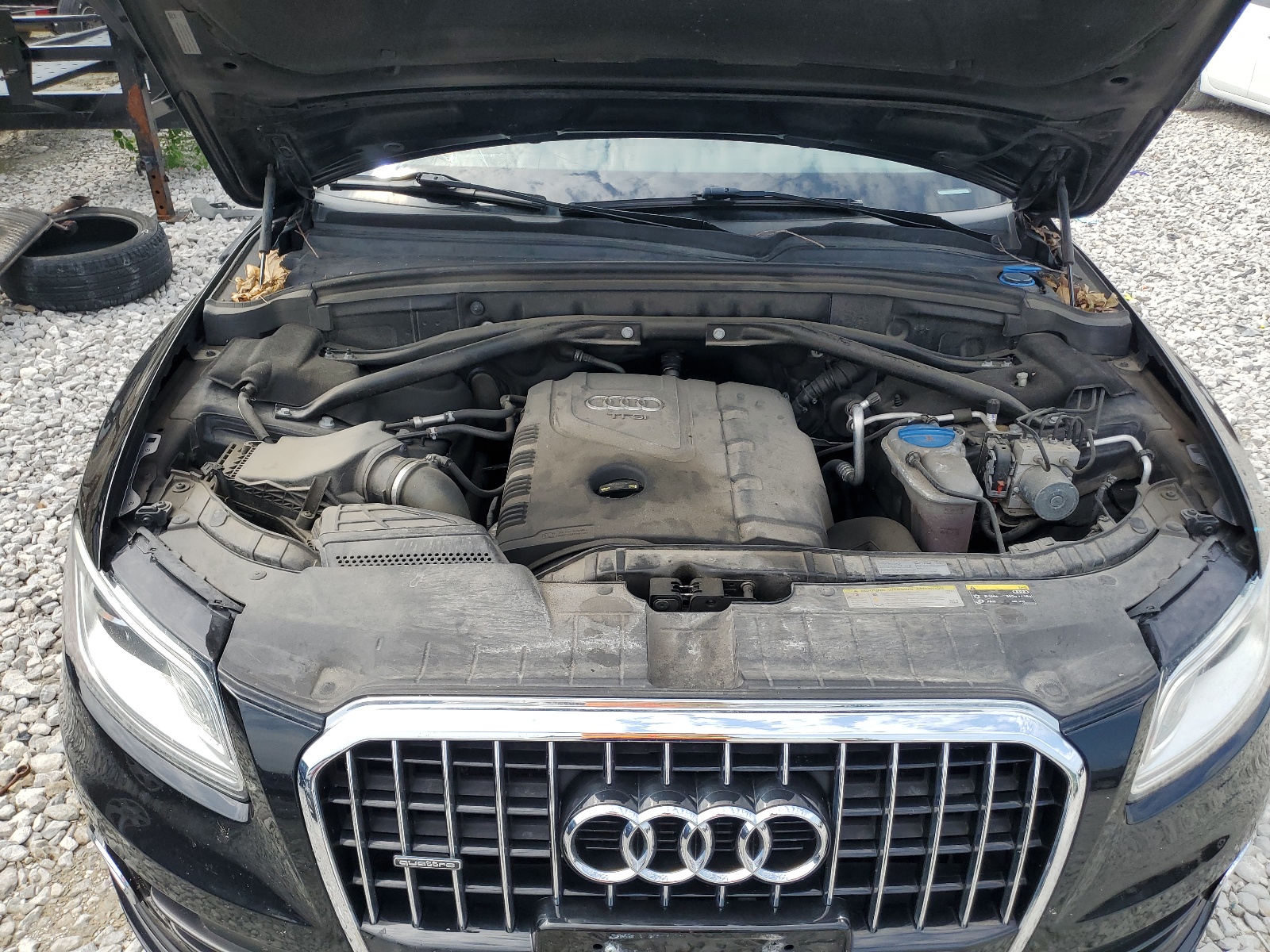 WA1LFAFP7FA023018 2015 Audi Q5 Premium Plus