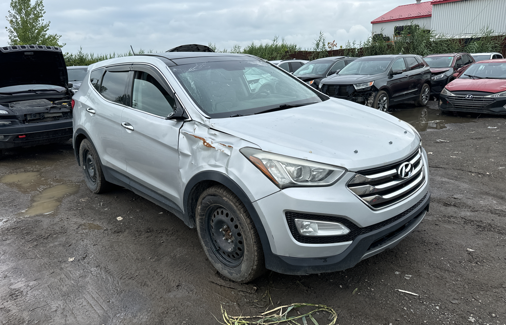 2013 Hyundai Santa Fe Sport vin: 5XYZUDLB1DG011945