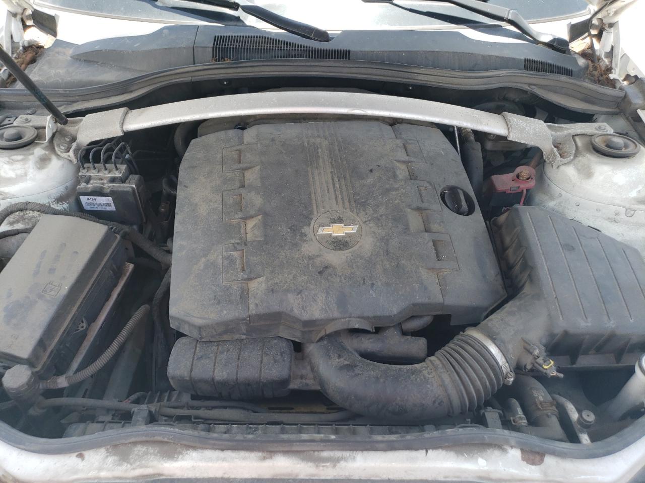 2011 Chevrolet Camaro Lt VIN: 2G1FB3DD6B9192562 Lot: 62331814