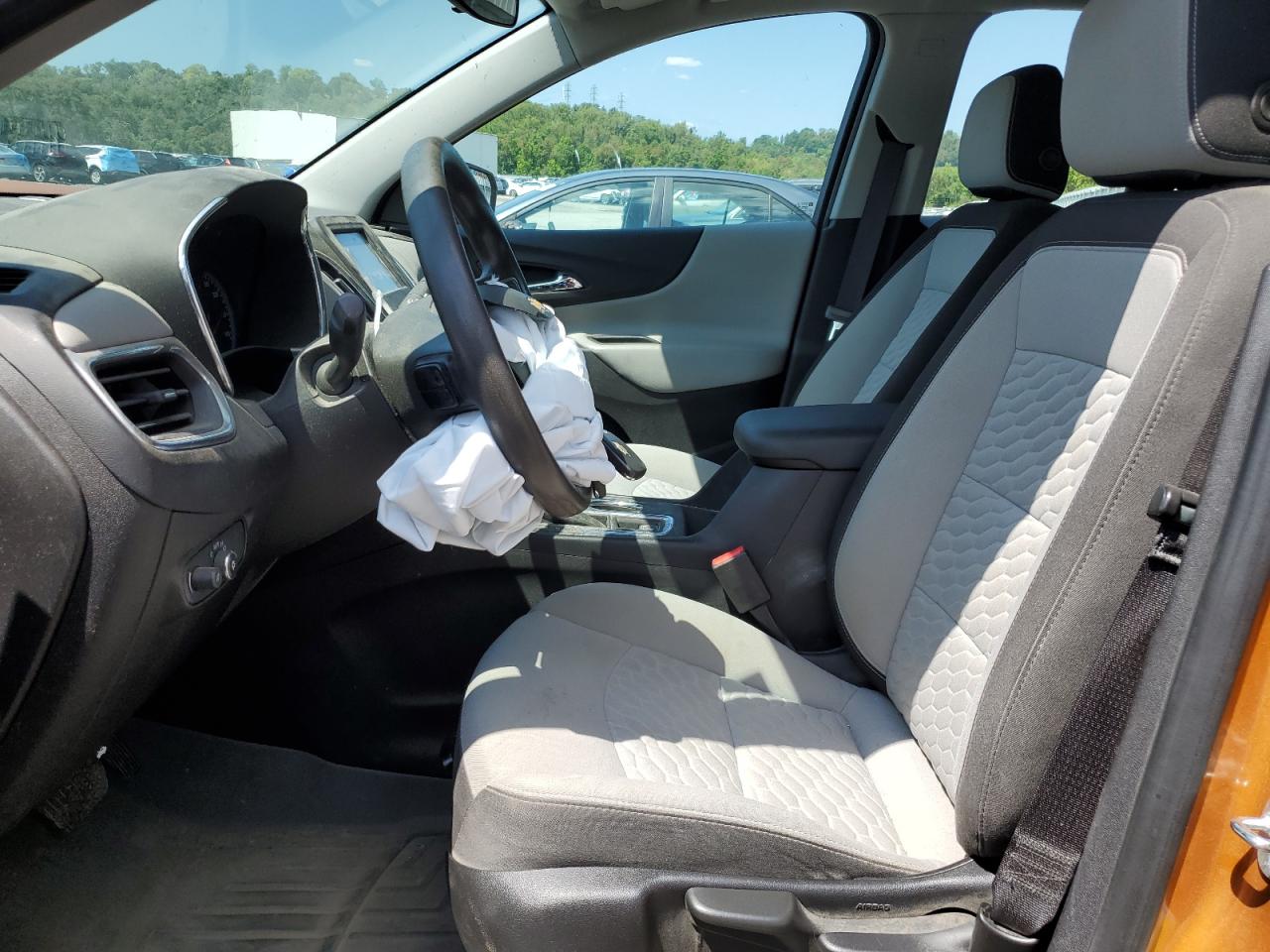 2018 Chevrolet Equinox Ls VIN: 2GNAXHEV9J6161305 Lot: 63992454