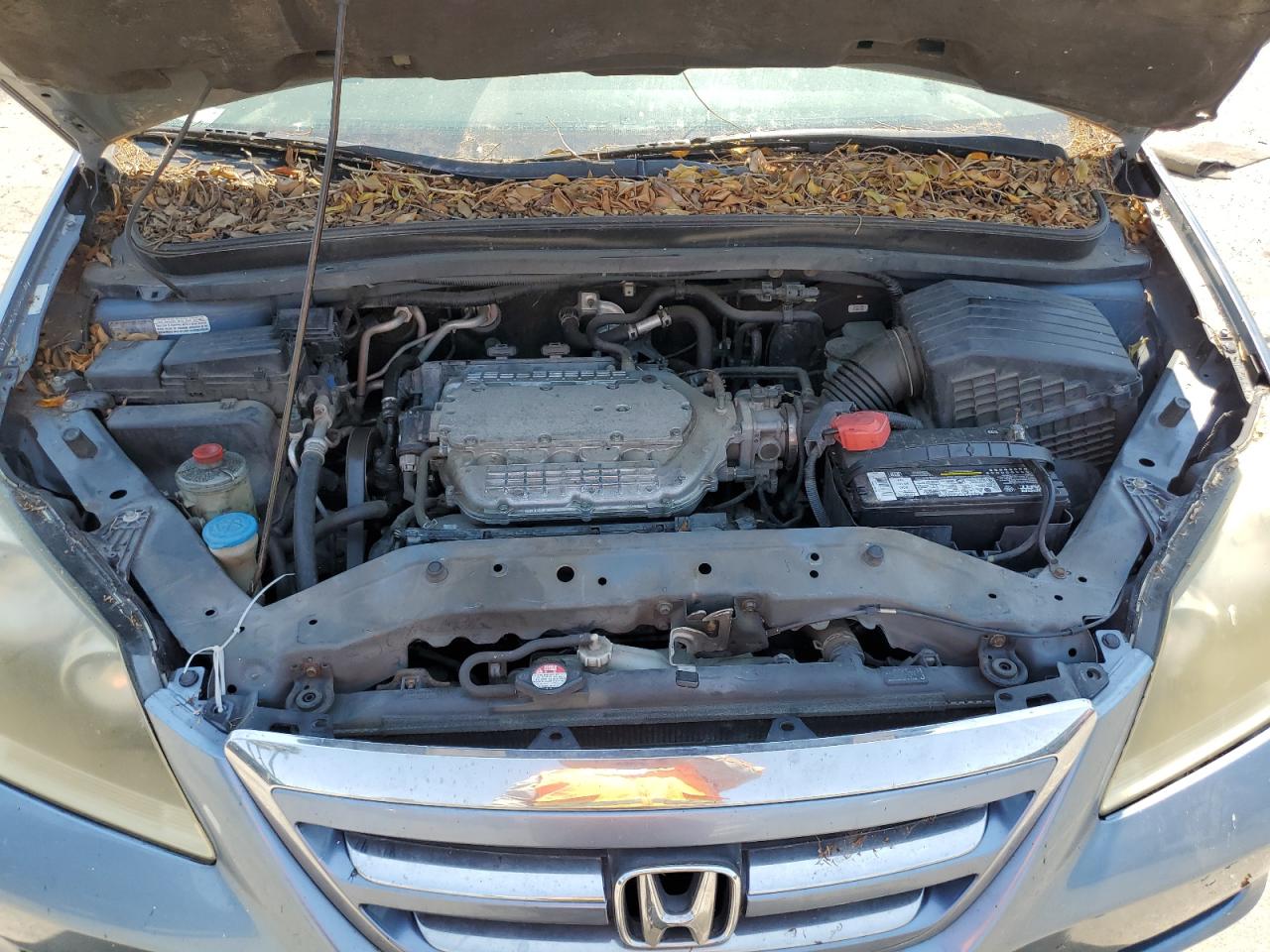 2006 Honda Odyssey - Image 12
