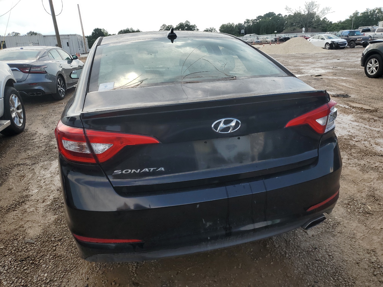 5NPE24AF4GH394612 2016 Hyundai Sonata Se