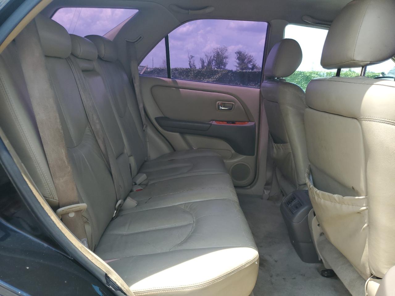 2001 Lexus Rx 300 VIN: JTJGF10U510085356 Lot: 62315244