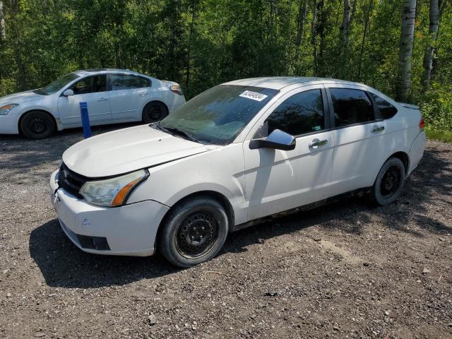 2011 FORD FOCUS SE for sale at Copart ON - COOKSTOWN