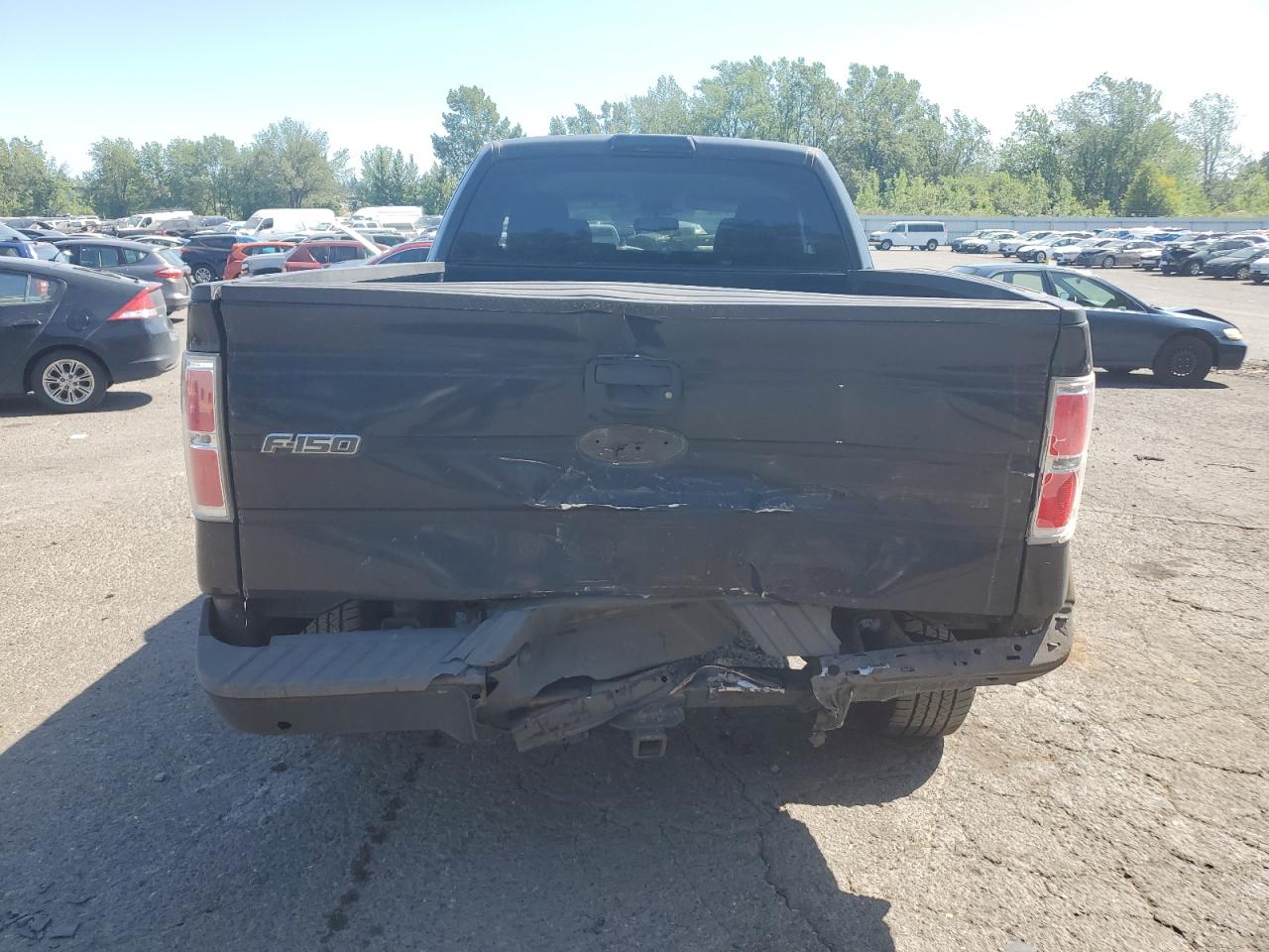 2010 Ford F150 Super Cab VIN: 1FTEX1C89AKE17051 Lot: 48901725