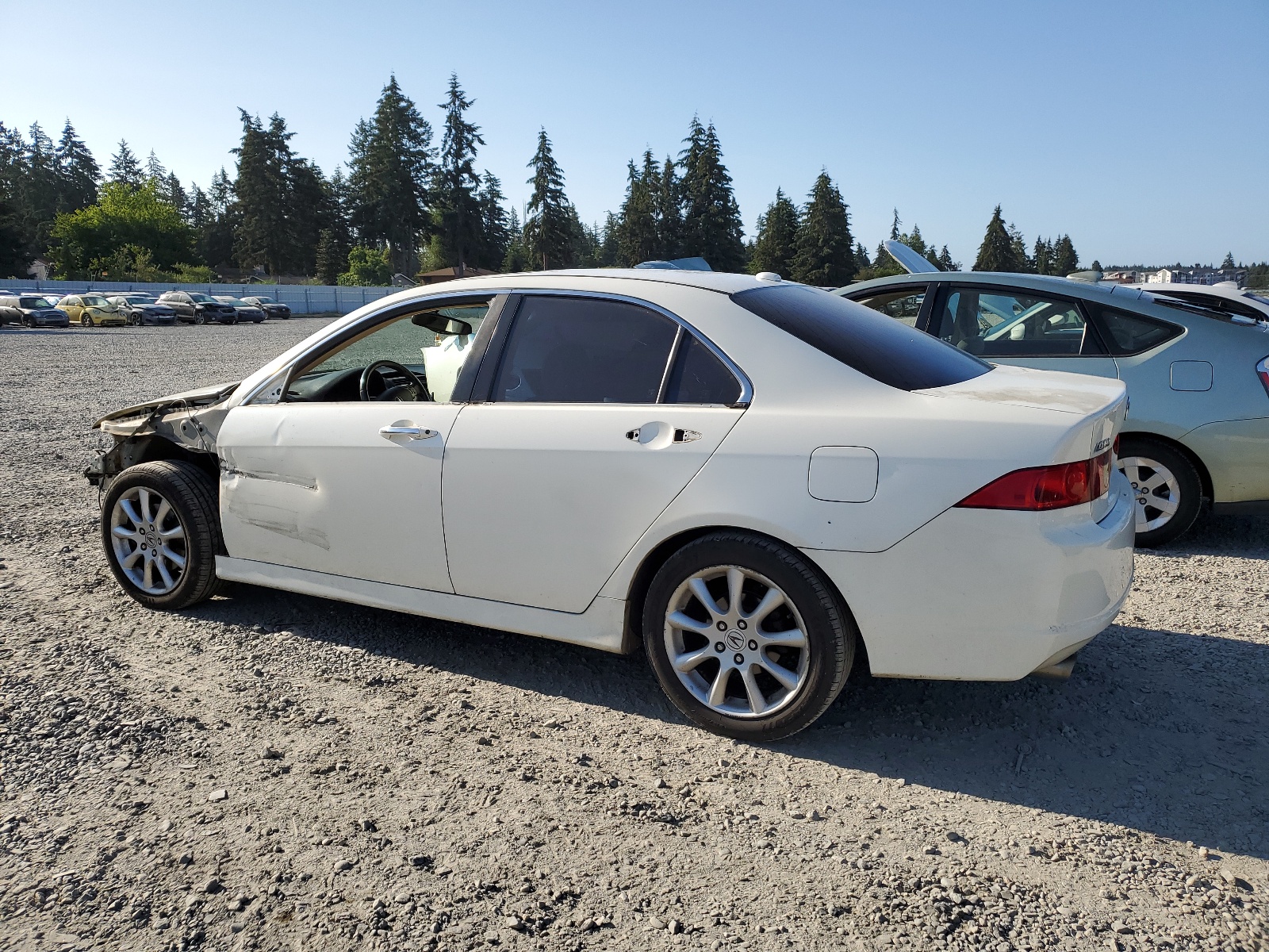 JH4CL96996C011891 2006 Acura Tsx