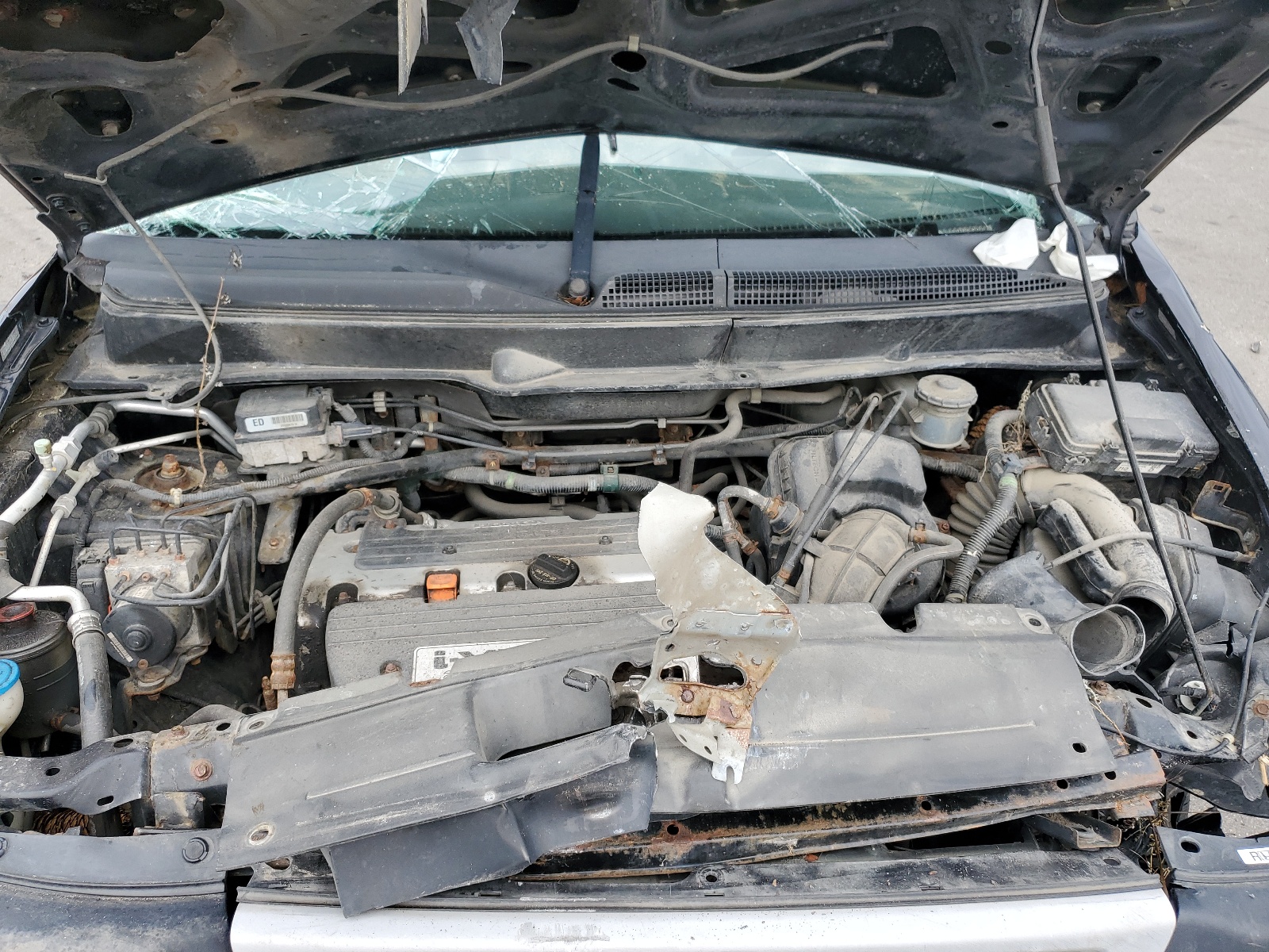 5J6YH17396L015714 2006 Honda Element Lx