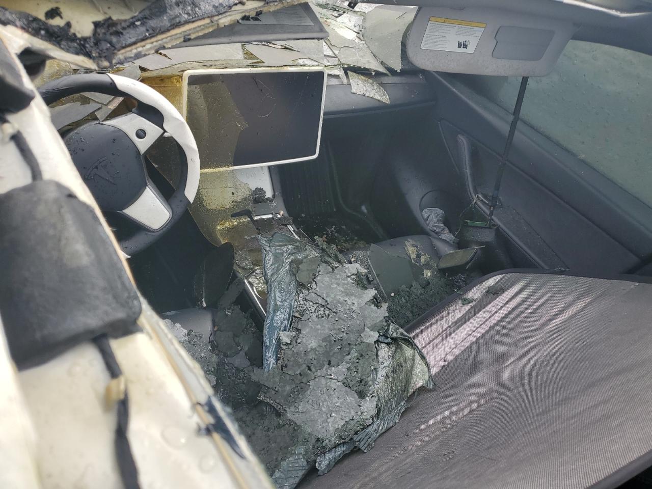 2021 Tesla Model Y VIN: 5YJYGDEE1MF180283 Lot: 62194834