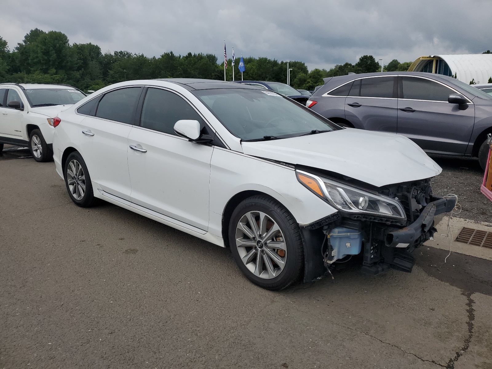 2016 Hyundai Sonata Sport vin: 5NPE34AF3GH342482