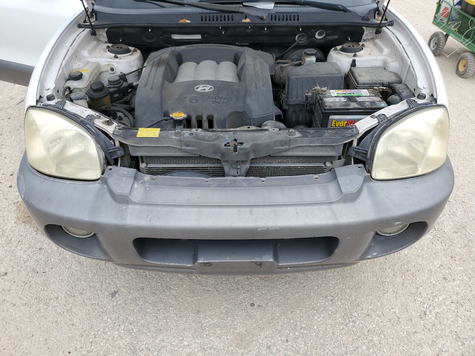 KM8SC13D54U839091 2004 Hyundai Santa Fe Gls