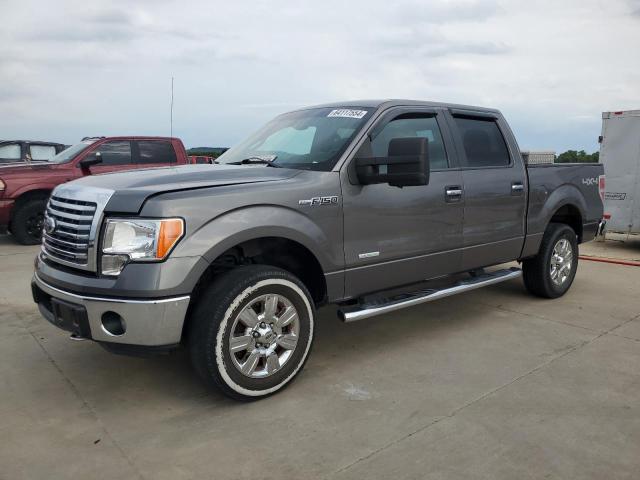  FORD F-150 2012 Серый