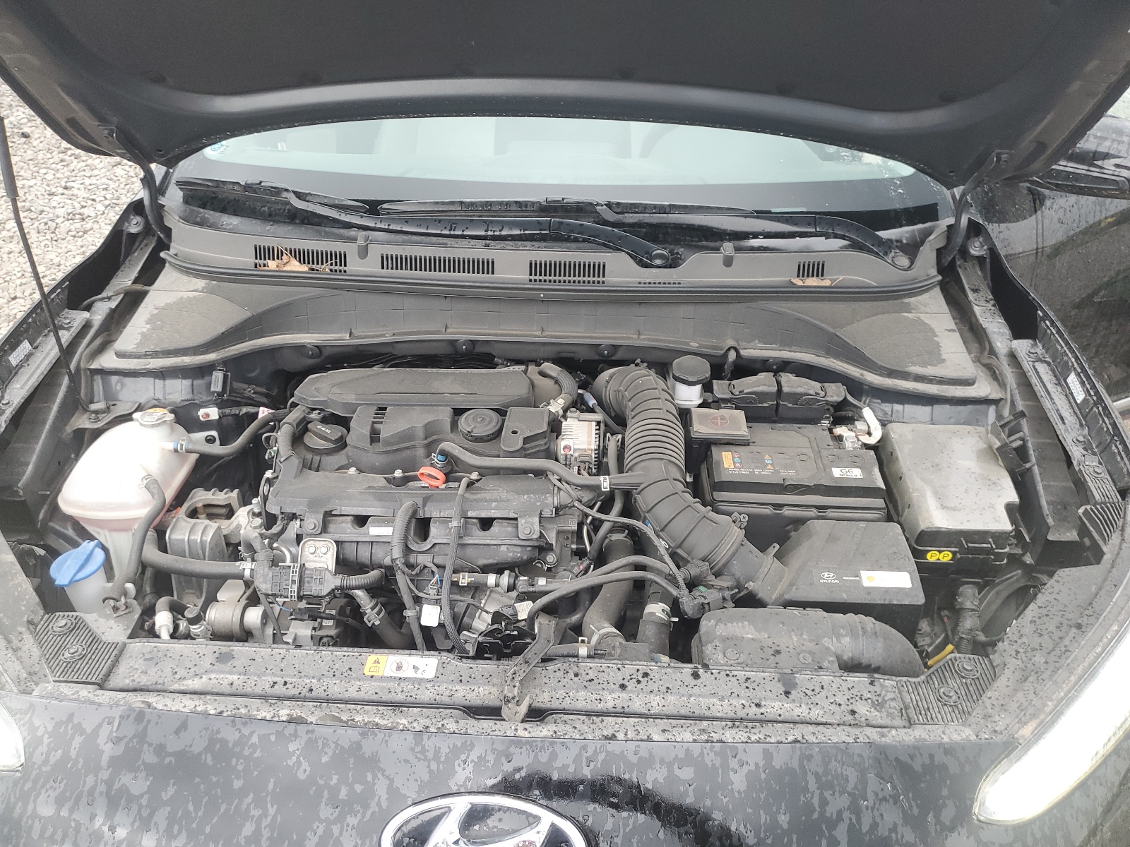 KM8K5CA31PU940567 2023 Hyundai Kona Limited