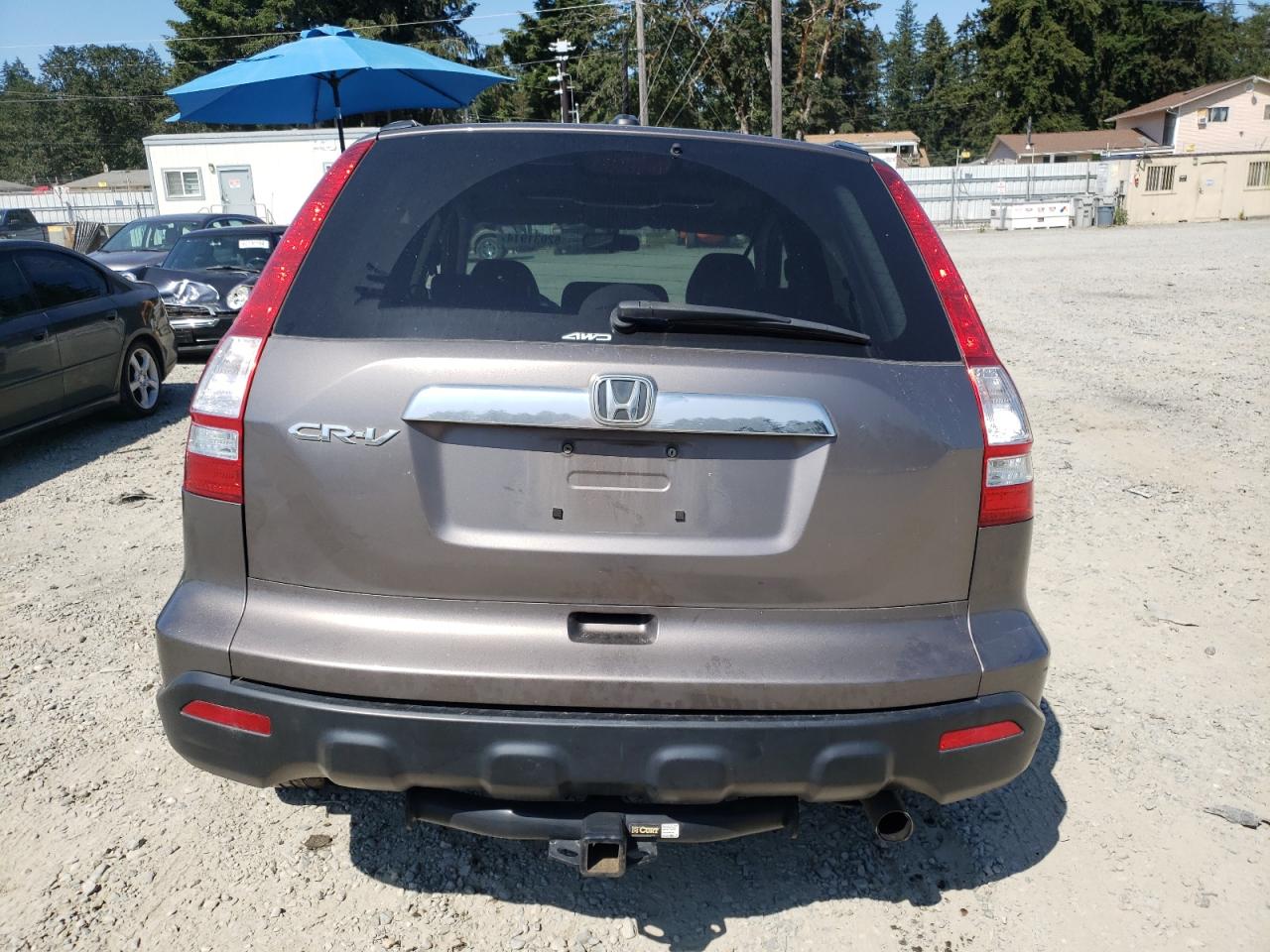 2009 Honda Cr-V Exl VIN: 5J6RE48739L047885 Lot: 62031914