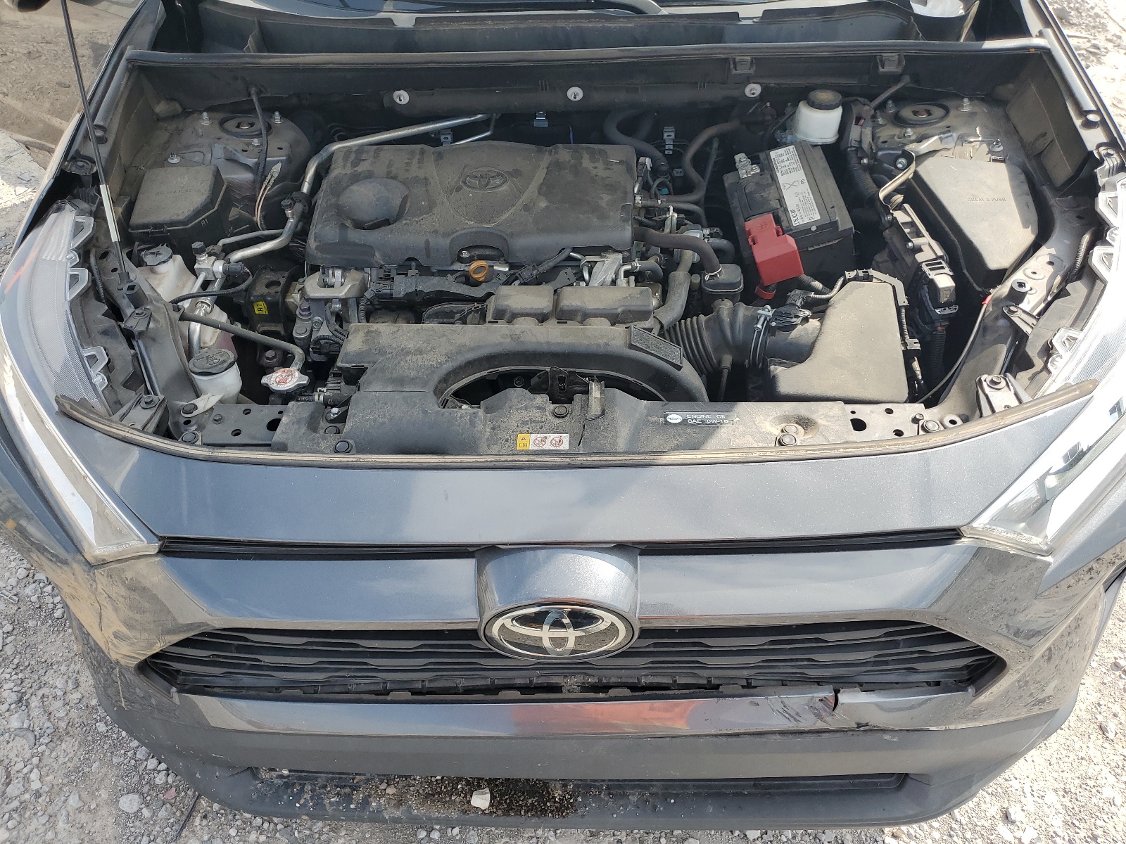 2T3W1RFVXKC020108 2019 Toyota Rav4 Xle