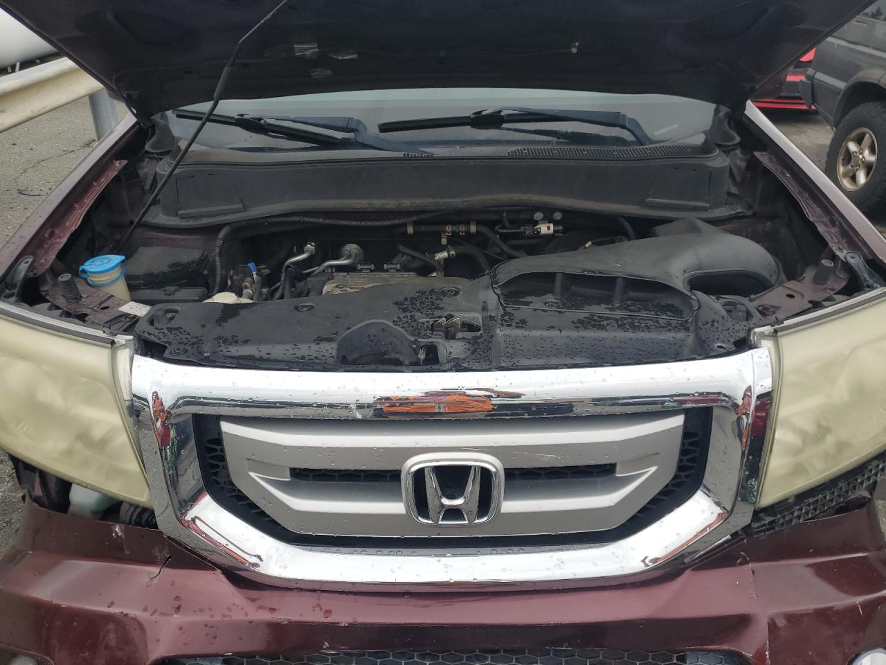 2009 Honda Pilot Ex VIN: 5FNYF48449B027569 Lot: 62416574