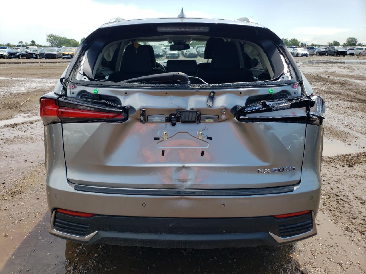 2020 Lexus Nx 300H VIN: JTJGJRDZ8L2135094 Lot: 62057484