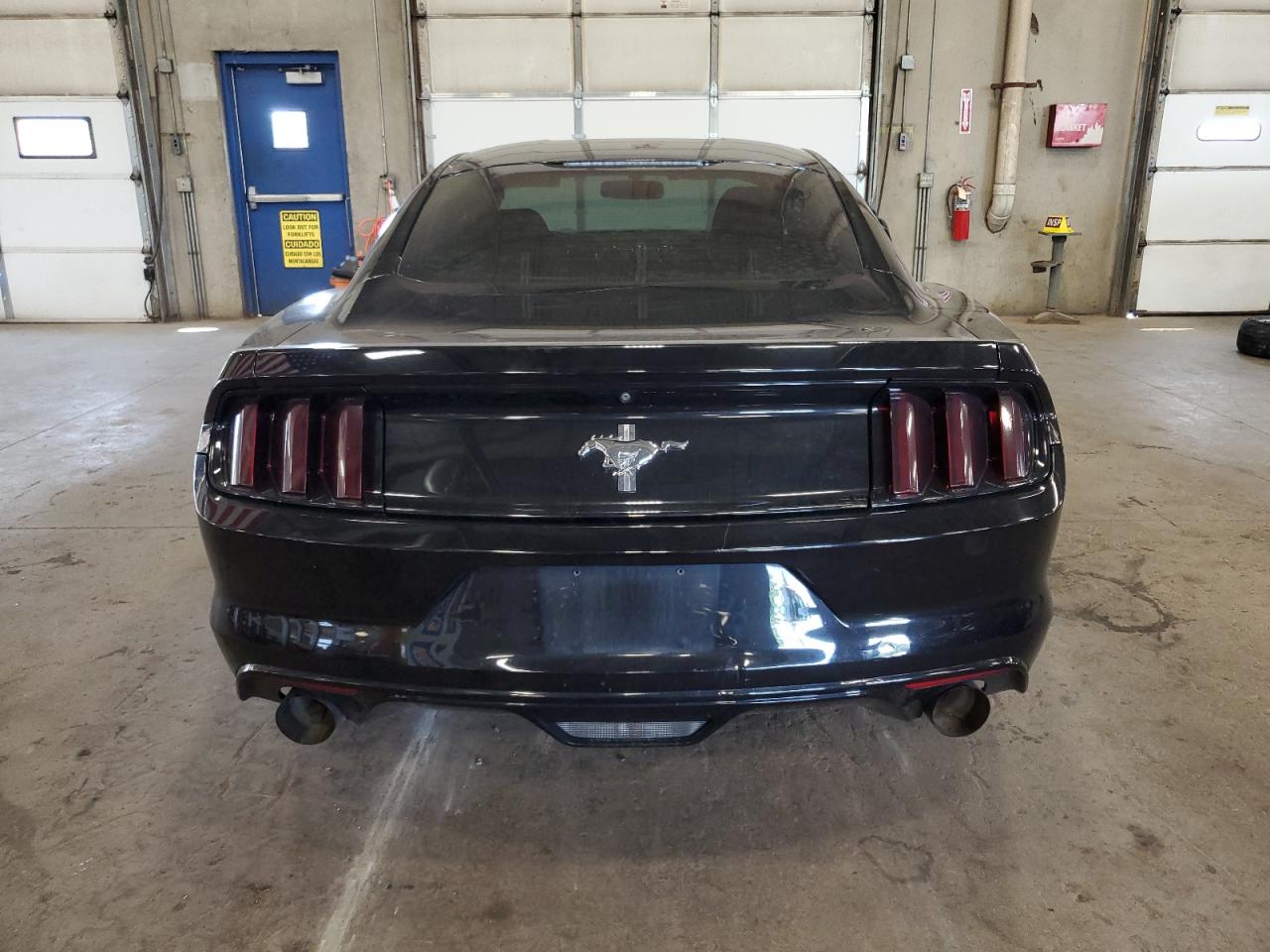 2017 Ford Mustang VIN: 1FA6P8AM1H5305646 Lot: 64583974