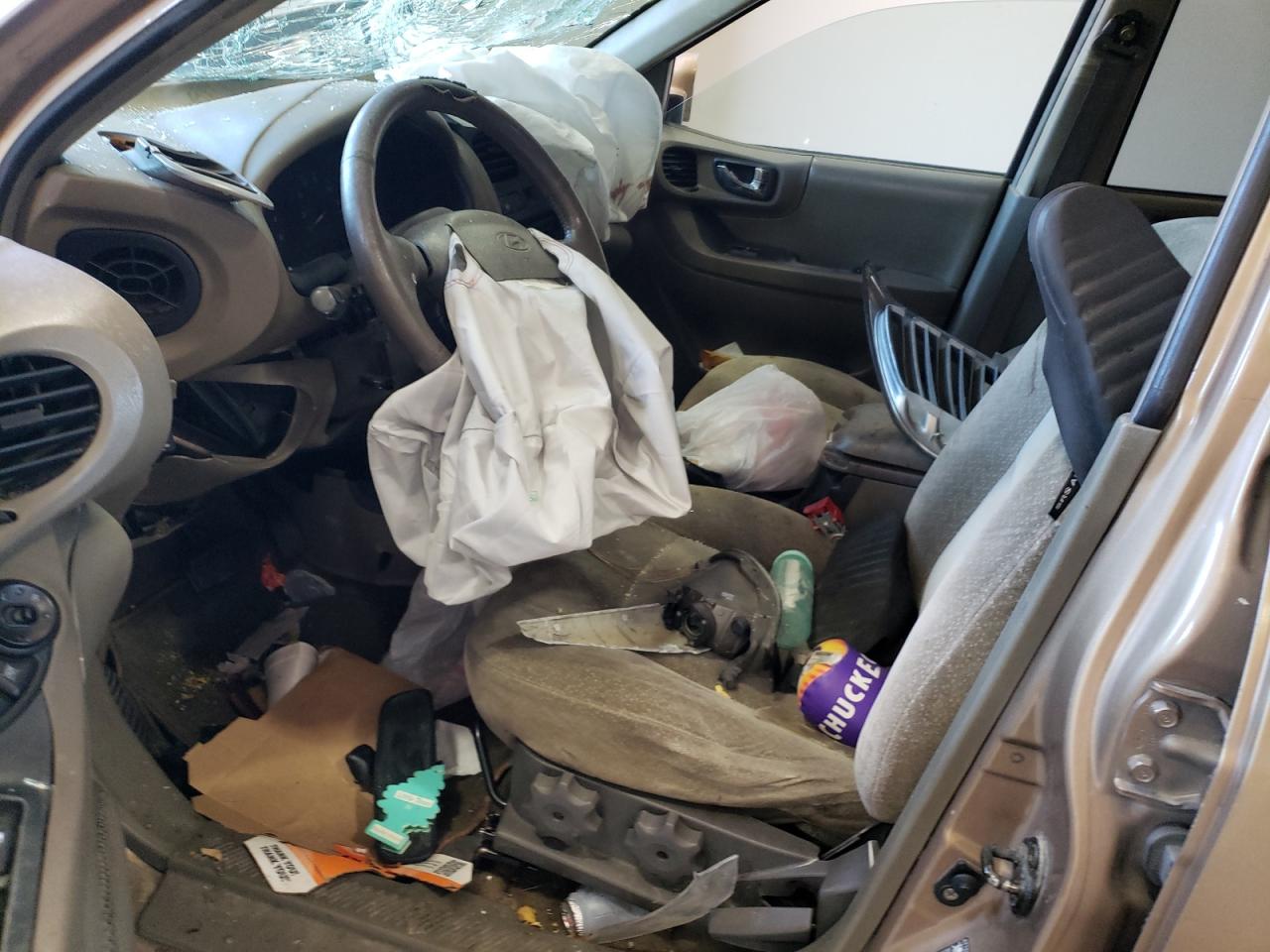 2003 Hyundai Santa Fe Gls VIN: KM8SC13D73U494760 Lot: 61325144