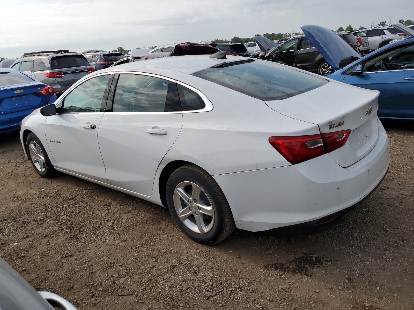 2020 Chevrolet Malibu Ls vin: 1G1ZC5ST4LF142462