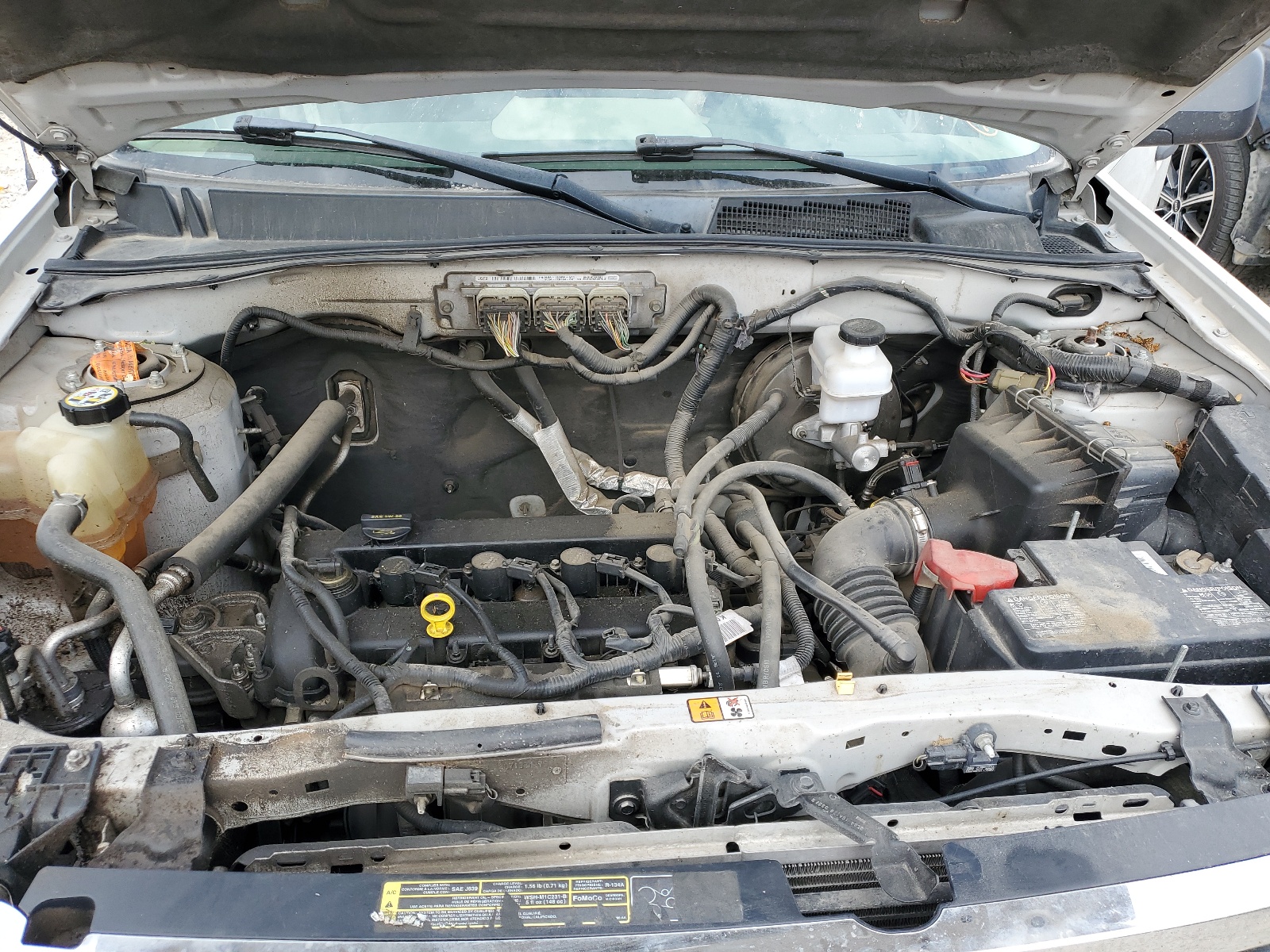 1FMCU92719KB94244 2009 Ford Escape Xls