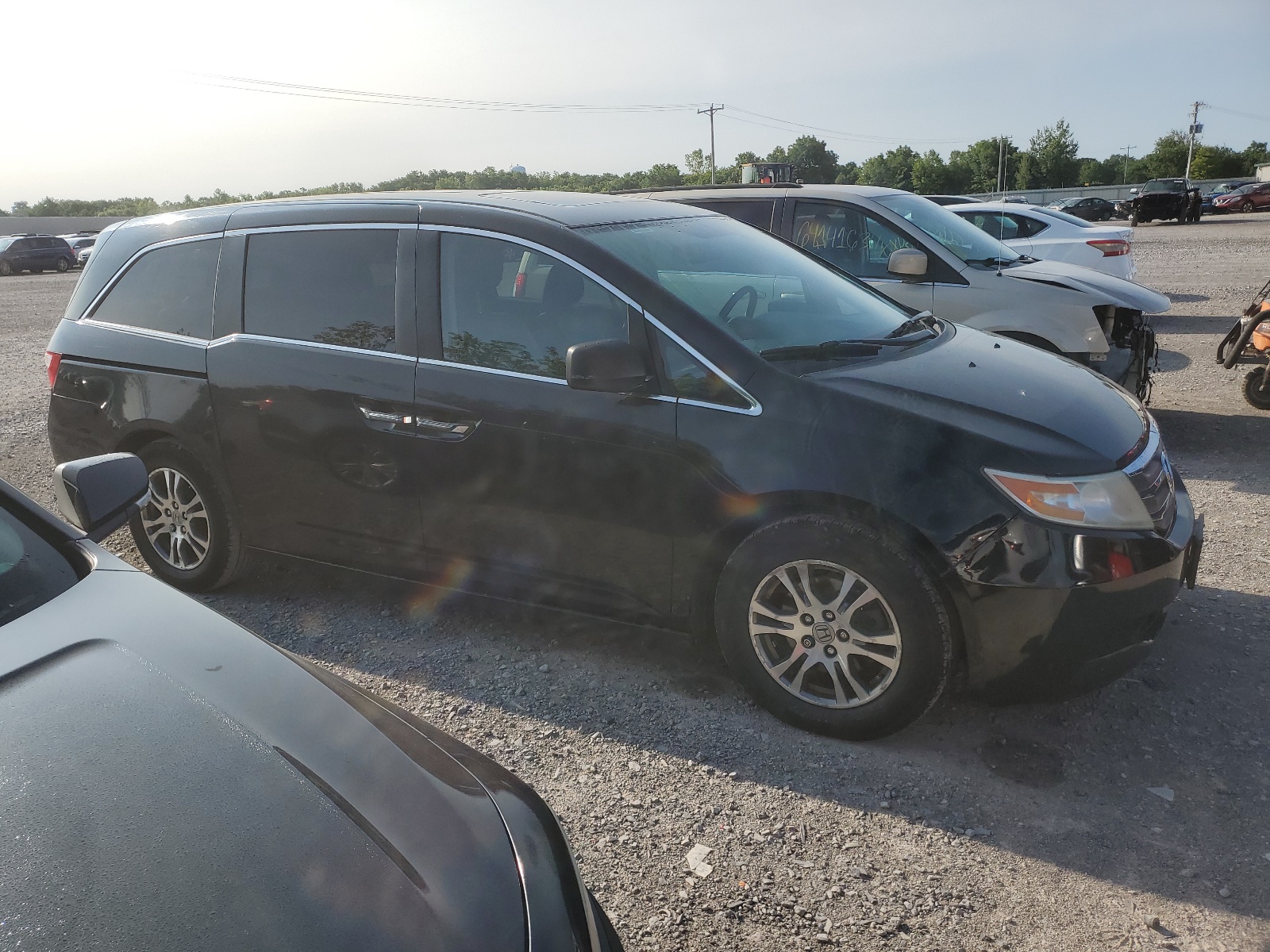 2013 Honda Odyssey Exl vin: 5FNRL5H67DB075046