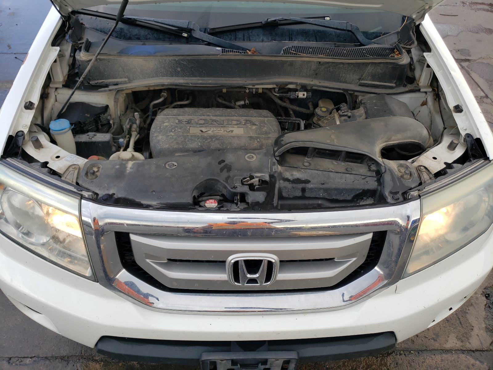 5FNYF4H54AB034163 2010 Honda Pilot Exl