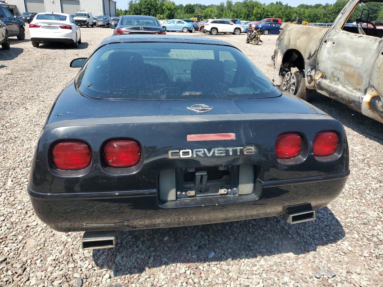 1993 Chevrolet Corvette VIN: 1G1YY23P7P5117726 Lot: 64820574