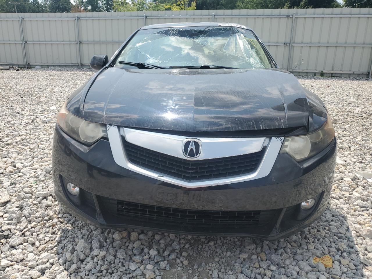2009 Acura Tsx VIN: JH4CU266X9C023188 Lot: 64381754