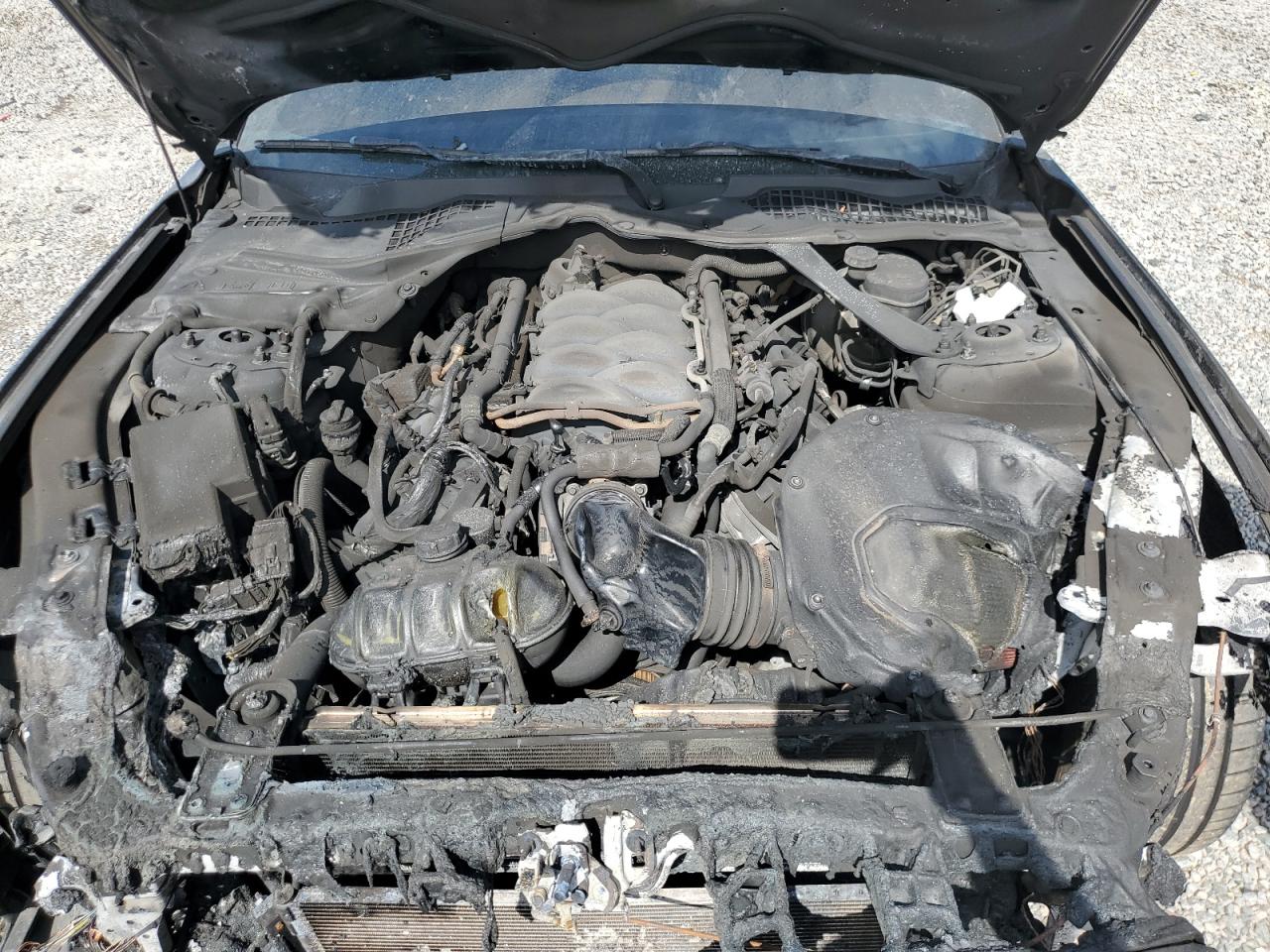 2020 Ford Mustang Gt VIN: 1FA6P8CFXL5192044 Lot: 62704854