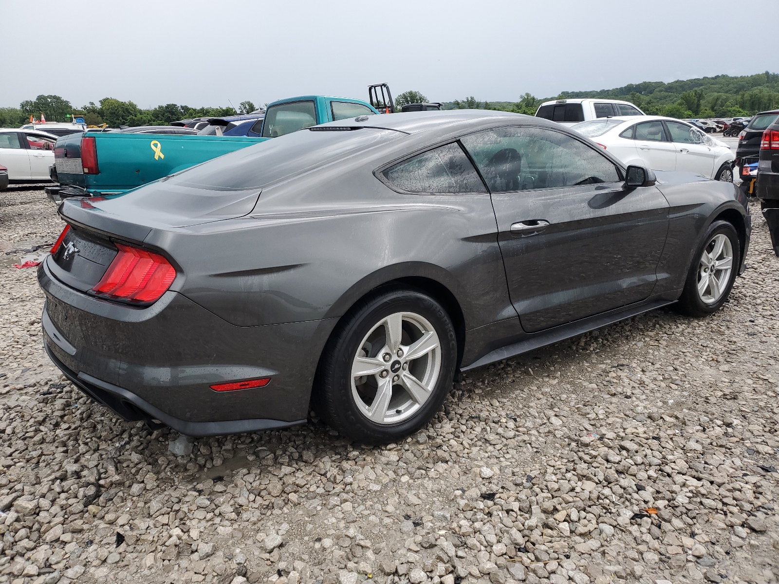 2020 Ford Mustang vin: 1FA6P8THXL5100304