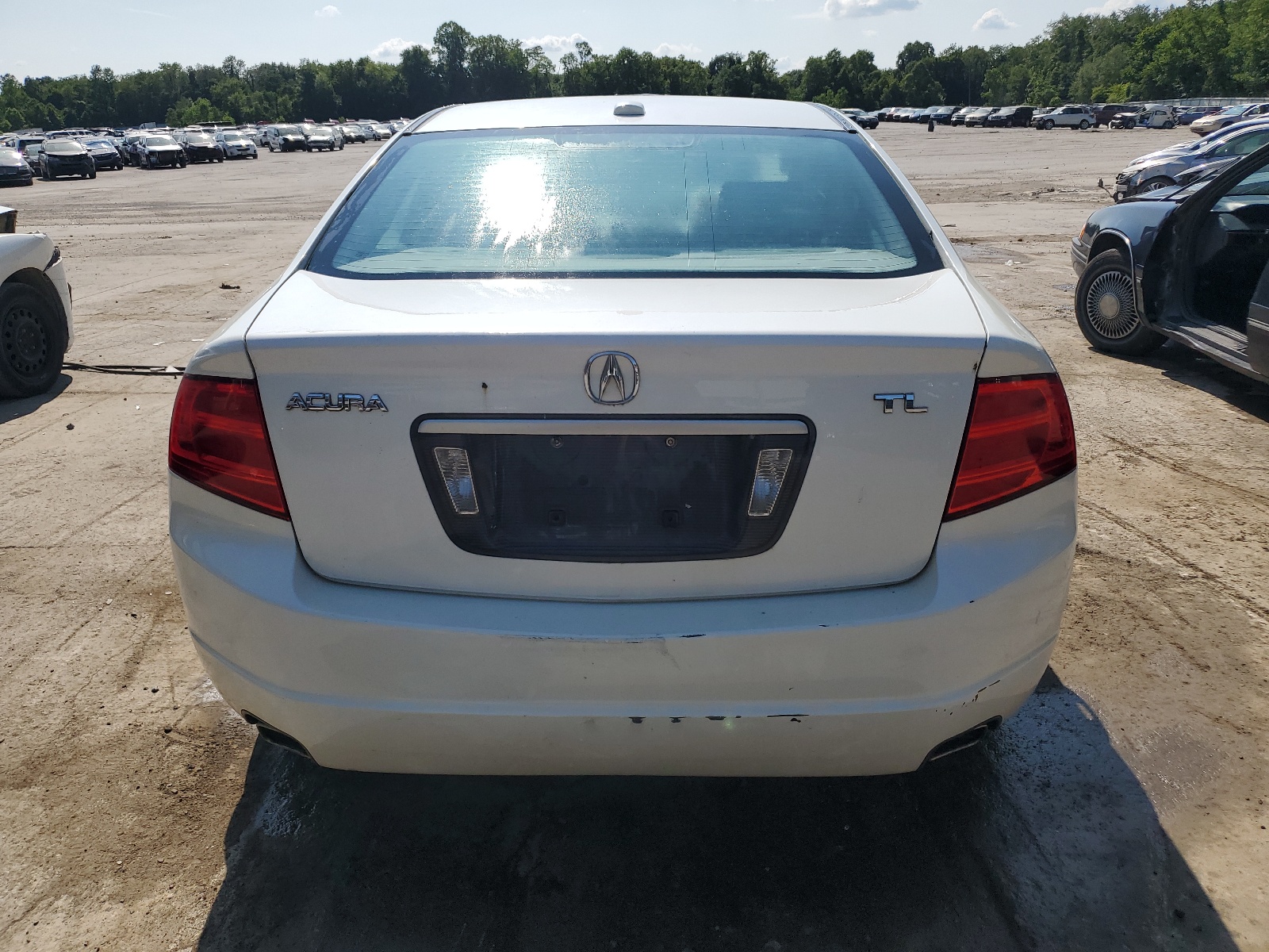 19UUA66235A055569 2005 Acura Tl