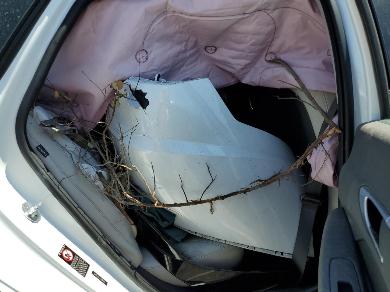 2020 Hyundai Sonata Sel VIN: 5NPEF4JA6LH024586 Lot: 63094514