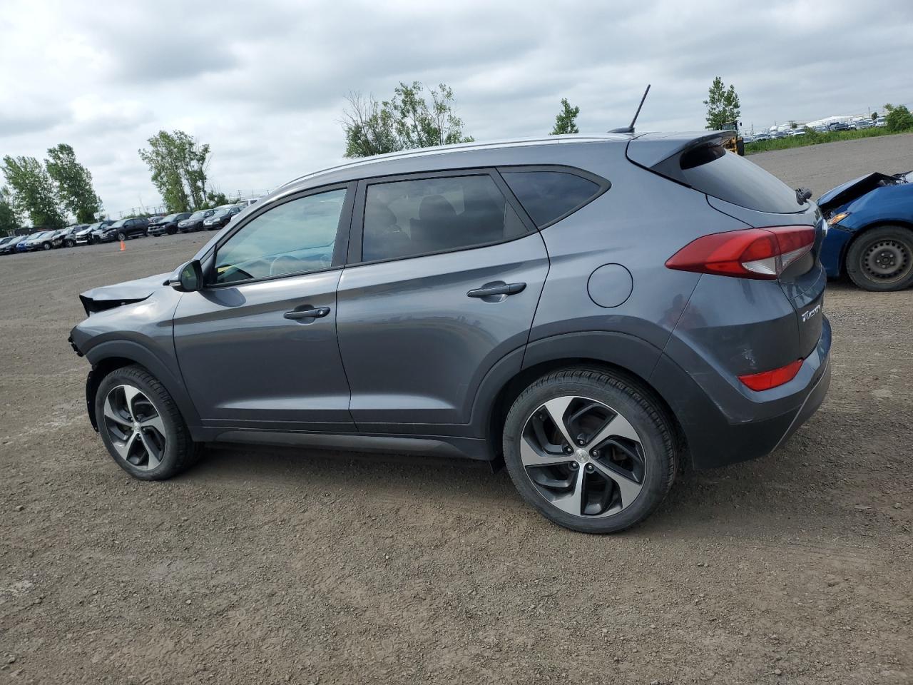 2016 Hyundai Tucson Limited VIN: KM8J3CA28GU086606 Lot: 62474444