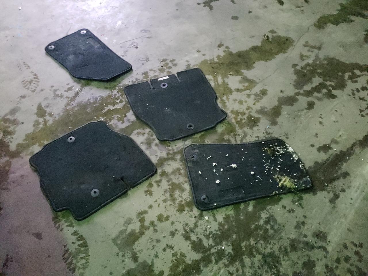 2022 Jeep Wrangler Unlimited Sahara VIN: 1C4HJXEG4NW237951 Lot: 61763624