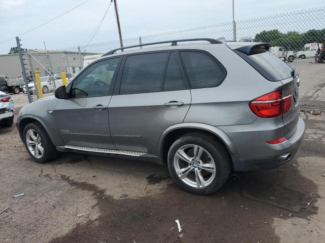 Паркетники BMW X5 2012 Сірий