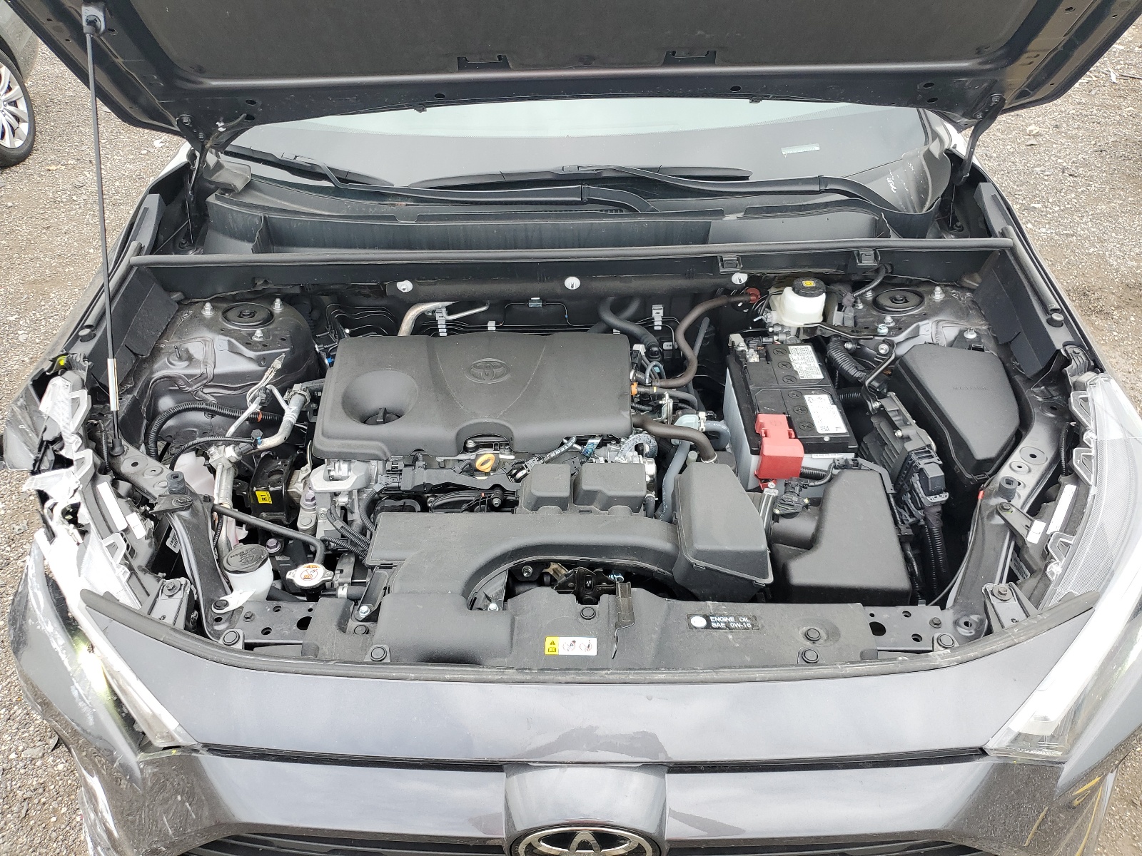 2T3H1RFV7RW317256 2024 Toyota Rav4 Le