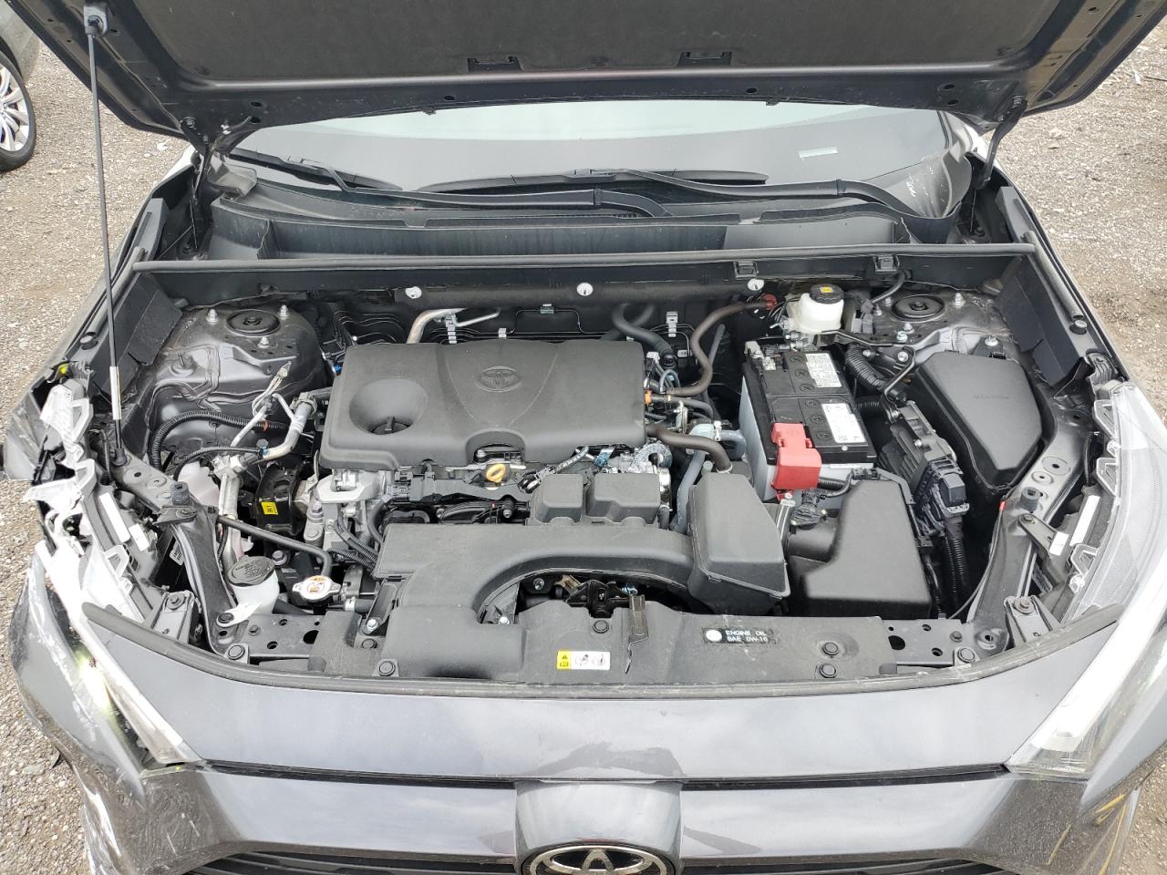 2024 Toyota Rav4 Le VIN: 2T3H1RFV7RW317256 Lot: 63026254